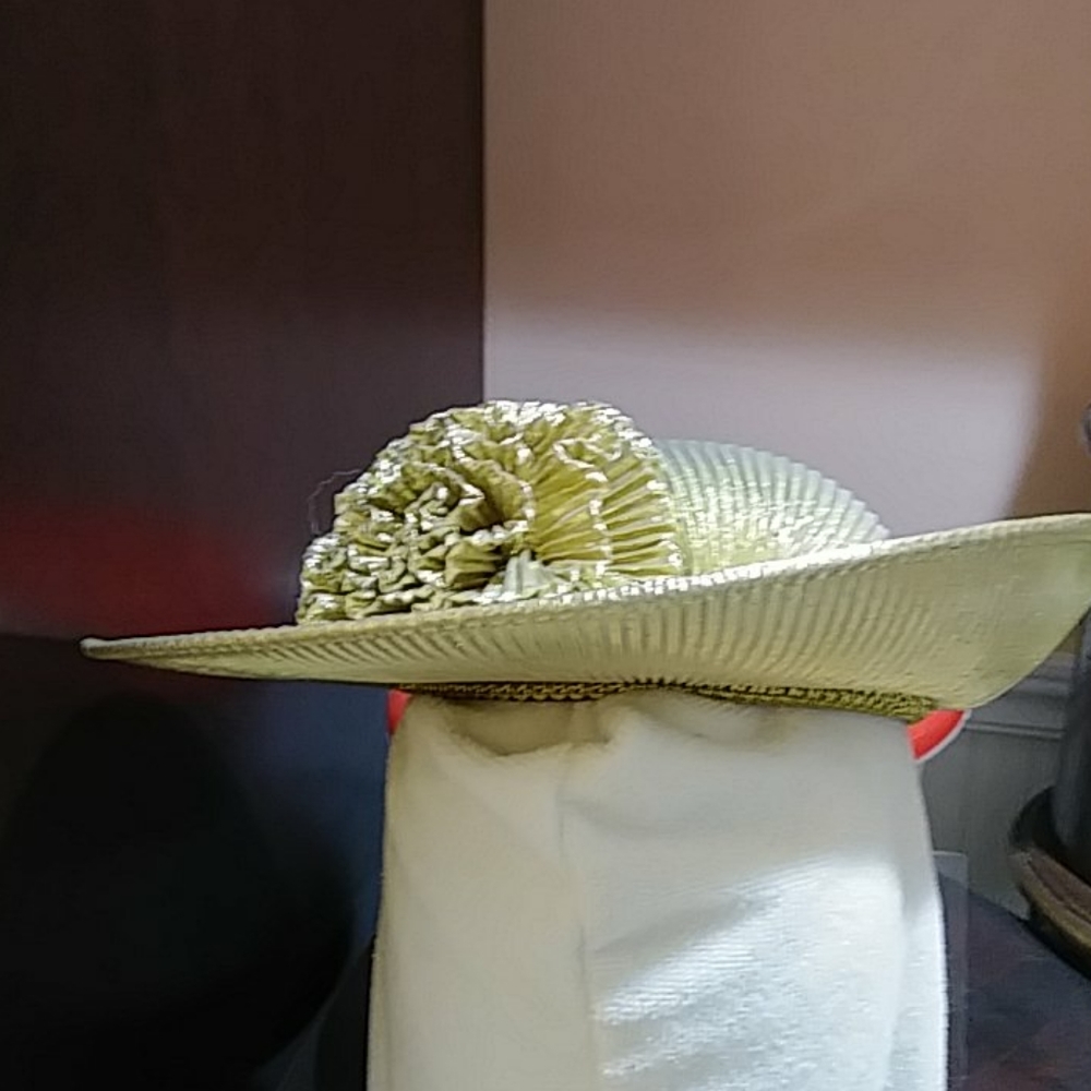 Fancy hat - Picture 4 of 4